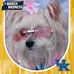 Barbara Moncrief Watson - Facebook