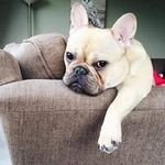 barbara morrison - @morrison4801 - Instagram