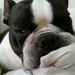 Barbara Crosthwaite Mowrey - @liltruker71 - Instagram