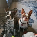 Barbara Crosthwaite Mowrey - @bmowrey71 - Instagram