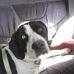 Barbara Muirhead - Facebook