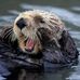 Barbara Muirhead - Facebook