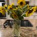 Barb Mullally - Facebook
