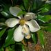 Barbara Mullally - Facebook