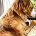 Barbara Mumma - Facebook