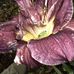Barbara Mumpower - Facebook