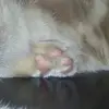 barbara - @barbaramunari13 - TikTok