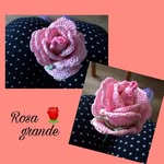 Barbara Munaretto - @barbara.munaretto.75 - Instagram