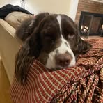 Barbara Munch - Facebook