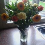 Barbara Munns - @barbara.munns.31 - Instagram