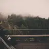 barbaramunn - @barbaramunn - TikTok