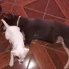 dyzrwpupx6m4 - @barbaramunos0 - TikTok