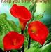 Barbara Munroe - Facebook