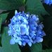 Barbara Munsell - Facebook