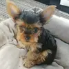 Barbara Munsell - @barbaramunsell - TikTok