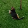 Barbara Muratori - @barbara.muratori - TikTok