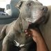 Barbara Murchison Rogers - Facebook