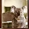Barbara Murillo - @barbara.murillo67 - TikTok