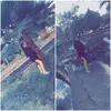 barbaramurillo27 - @barbaramurillo27 - TikTok