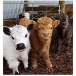 Barbara Muth - @barbara.muth.961 - Instagram
