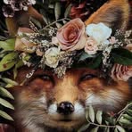 Barbara Muzzi - Facebook