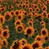 barbara.muzzi123 - @barbara.muzzi123 - TikTok