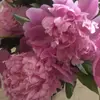 Barbara nacci💕 - @barbaranacci - TikTok