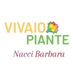 Vivaio piante Nacci Barbara - @vivaio_piante_nacci_barbara - Instagram