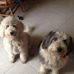 Barbara Wilensky Nadel - @barbaranadel836 - Instagram