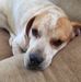 Barbara Nagle - Facebook