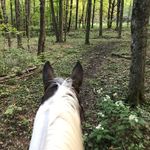 Barbara Nagle Muench - @muench.barbara - Instagram