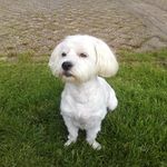 Beppie Nagle - @barbara.nagle.355 - Instagram