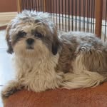 Barb Nancarrow - @nancarrowbarbara - Instagram