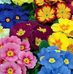 Barbara Gillie Nancarrow-Moffatt - Facebook