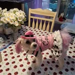 Barbara Nancarrow - @muffin_cookie007 - Instagram