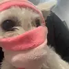 barbara ✧ - @barbara.napoles - TikTok