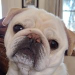 Barbara Nardone Miller - @bnardone14 - Instagram