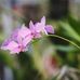 Barbara Naron - Facebook