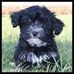 Barbara Naslund - Facebook