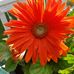 Barbara Nass - Facebook