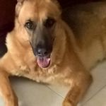 Barbara Natale - @barbara.natale1962 - Instagram