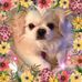 Barbara Natz - Facebook