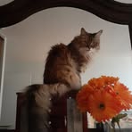 Barbara Nault - Facebook