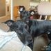 Barbara Brueggeman Nave - Facebook