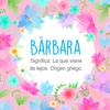 Barbara Navea - @barbara.navea - TikTok
