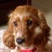 Barbara Neale - Facebook