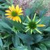 Barbara Neale - Facebook