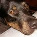 Barbara Neale - Facebook