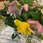 Barbara Neale - @barbara.neale.5 - Instagram