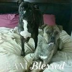 Barbara jayne Neese - @barbara_jayne_neese - Instagram